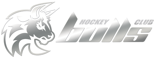Logo bulls metallizzato